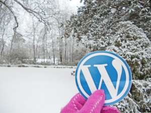 WordPress Altanta Snow